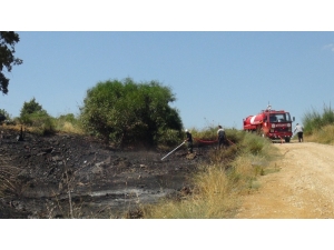 Manavgat’ta Ot Çalı Yangını Korkuttu