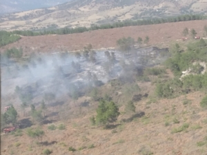 Aydın’da Aynı Bölgede İki Ayrı Orman Yangını