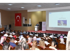 Şanlıurfa’da Uyuşturucu İle Mücadele