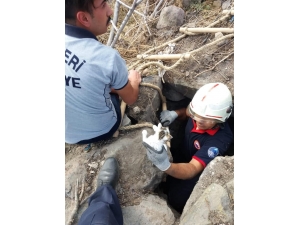 Çukura Düşen Yavru Kediyi İtfaiye Kurtardı