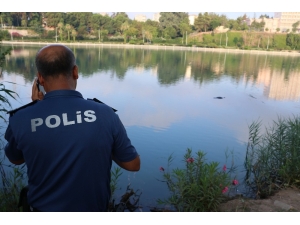 Adana’da Nehirde Kadın Cesedi Bulundu