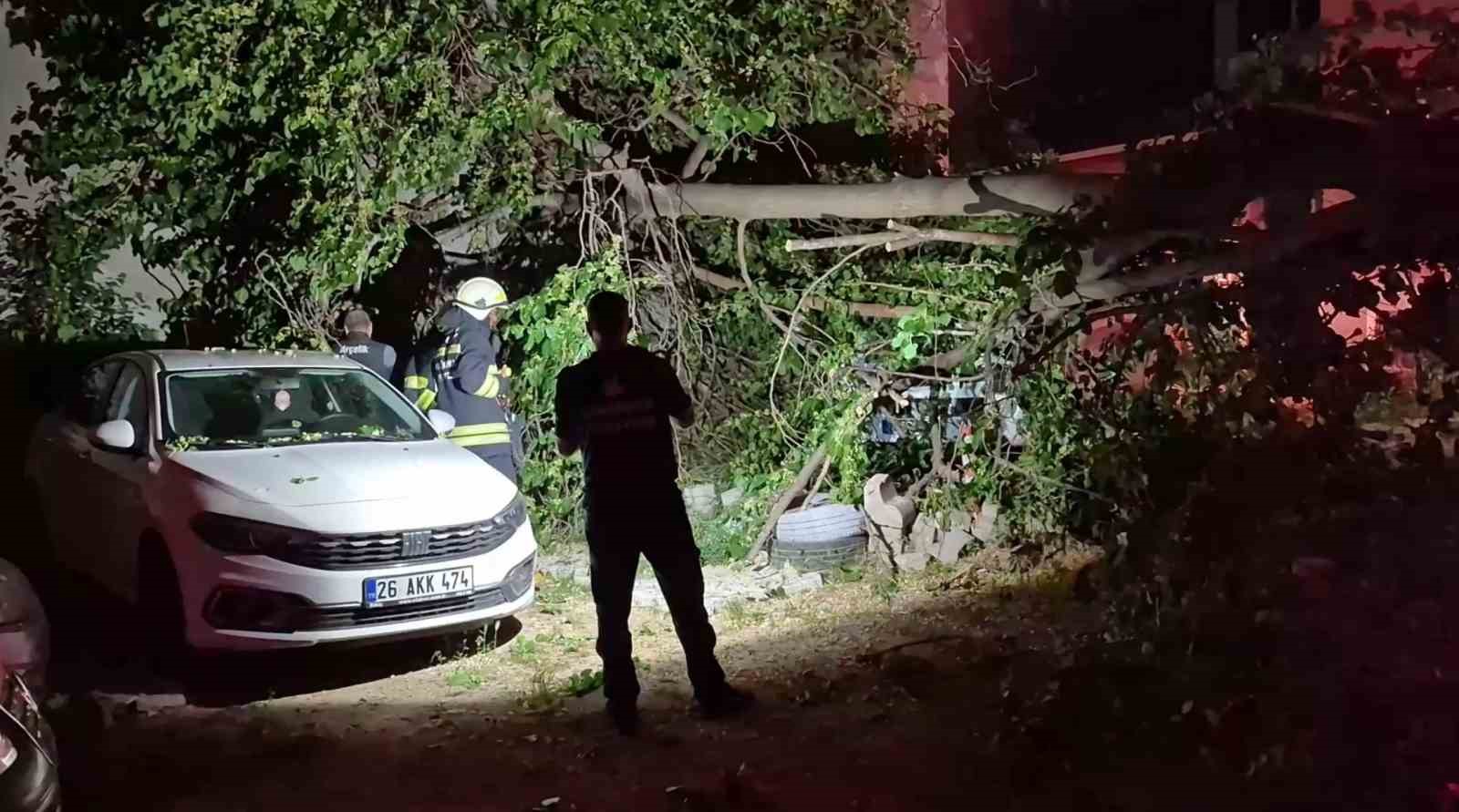 dut-agaci-park-halindeki-araclarin-uzerine-devrildi-faciadan-donuldu