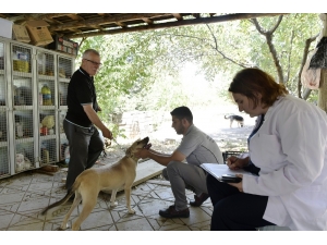 Can Dostlar Koruma Altında