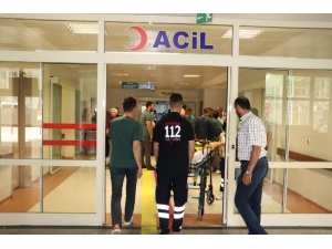 Traktörden Düşen Kadın Ağır Yaralandı