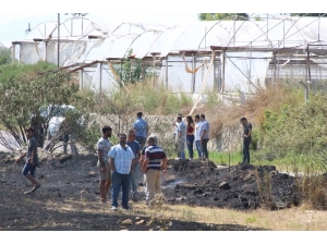 Antalya’da Tarlada Yangın Çıktı