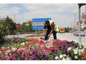 Şuhut’ta Çiçekler Açıyor