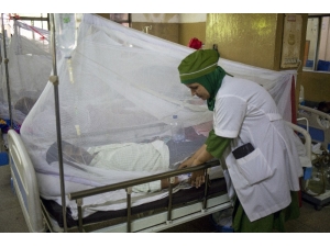 Bangladeş’te 24 Saatte 403 Kişi Dang Hummasından Hastaneye Kaldırıldı