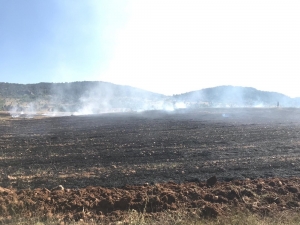 Balya Makinesi Alev Aldı, 25 Dönümlük Arazi Kül Oldu