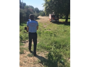 Sulama Kanalına Düşen Yavru Köpekleri İtfaiye Kurtardı