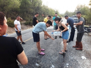 Orman Yangınını Söndürmek İçin Köylüler Seferber Oldu
