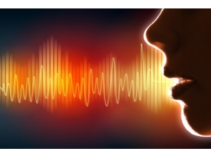 Ses Teknolojileri 300 Milyar Dolarlık Telefon Dolandırıcılığını Önlüyor