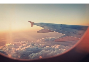 ‘Göç’ Başlıklı 80 Bini Aşkın Habere Rastlandı