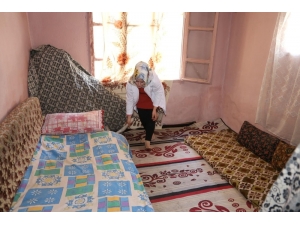 Belediyeden Yaşlılara Destek