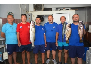 Tssf Milli Takım Aday Kampı Sinop’ta Devam Ediyor