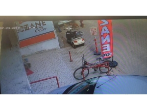 Hamile Kediyi Pitbulla Parçalatan 3 Kişi Gözaltına Alındı