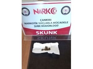 Uyuşturucuya Geçit Yok