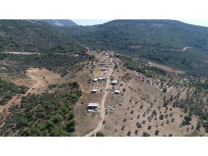 Fırsatçılar 40 Dönümü Yok Etti