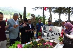 Şampiyonluk Madalyasını Şehit Yeğeninin Mezar Taşına Astı