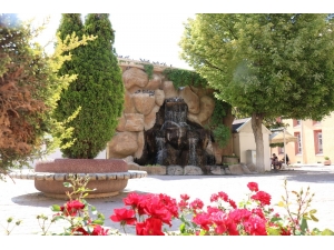 Sıcaklıkların Bunalttığı Kuşlar Su Kenarlarına Akın Ediyor