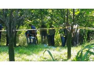 İşten Ayrılınca Bunalıma Girdi, Ailesine Mektup Yazıp İntihar Etti