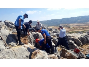 Kayalıklarda Kuyuya Düşen Keçi Kurtarıldı