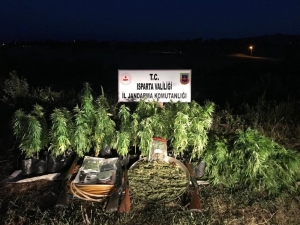 Bu Kadarı Da ‘Pes’ Dedirtti, Ormanlık Alanda Poşet Saksıda Seyyar Uyuşturucu Yetiştiriciliği