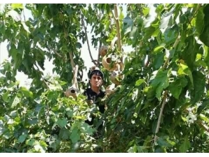 Duyarlı Vatandaştan Örnek Davranış