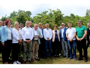 Chp’lilerden Ortak ‘Fındık’ Açıklaması