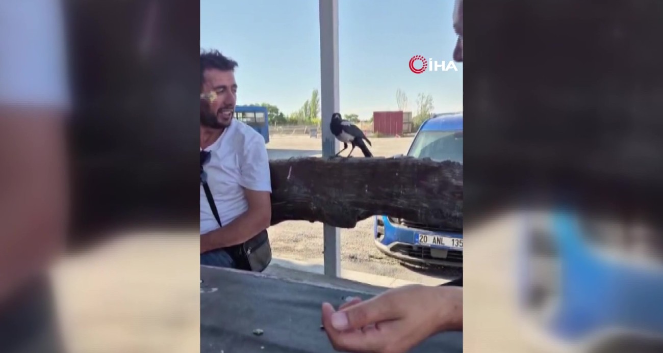 ankara-da-karganin-masadaki-parayi-alip-kactigi-anlar-kamerada