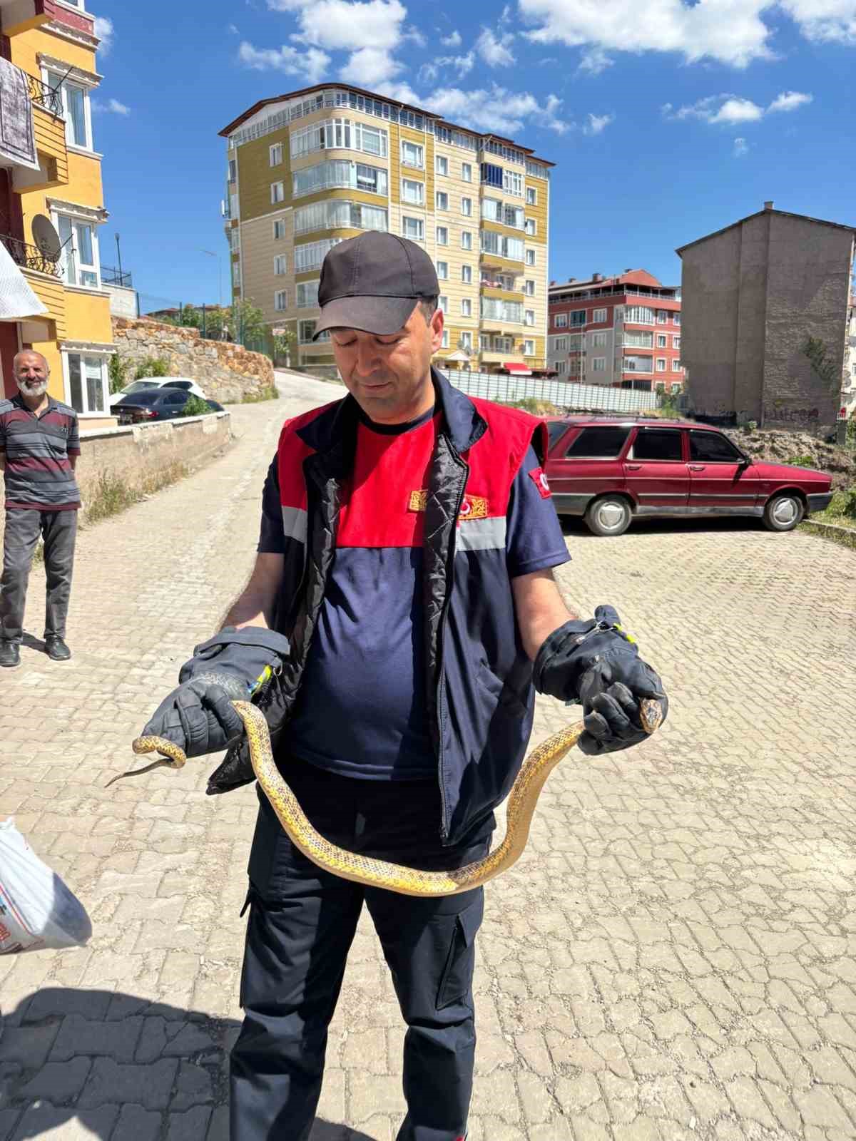 yozgat-ta-otomobile-giren-yilani-itfaiye-ekipleri-cikardi