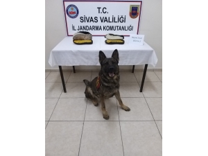 Ayakkabı Tabanında Uyuşturucu Ele Geçirildi