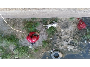 Kanalda Mahsur Kalan Köpeği İtfaiye Kurtardı