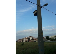 Elektrik Direğine Sabitlenen Arı Kovanı