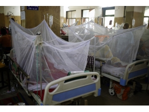 Honduras’ta 54 Kişi Dang Hummasından Öldü