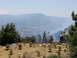 Mersin’de 10 Hektarlık Kızılçam Ormanı Yandı