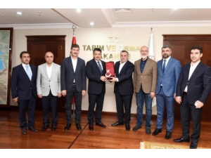 Ak Parti’li Yöneticiler, Mardin’e Hizmet Taleplerini Bakanlara İletti