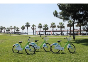 Kobis, 100 Bin Üyeye Ulaştı