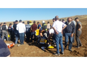 Sivas’ta Otomobil Şarampole Yuvarlandı: 2’si Ağır 5 Yaralı