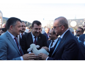 Bakan Pakdemirli: "Elektrikli Traktörle Mazot Maliyetleri Yüzde 90’dan Fazla Düşecek"