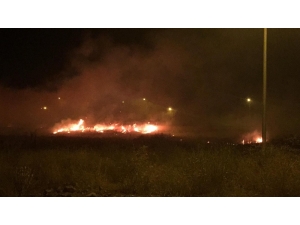 Bingöl’de 100 Dönüm Alan Yandı, Müdahaleye Toma Da Katıldı