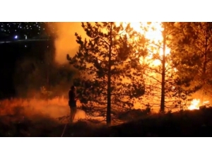 Dünyanın En Büyük Atatürk Portresinin Bulunduğu Alanın Yakınında Çıkan Yangın Korkuya Neden Oldu