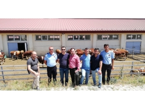 Kestel Ve Develi Tarım Ve Orman İl Heyeti Narman’da Buluştu