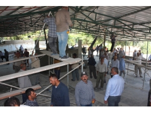 Cafer Bin Ebu Talib’in Makamına Bin Hayırseverden Yardım Eli