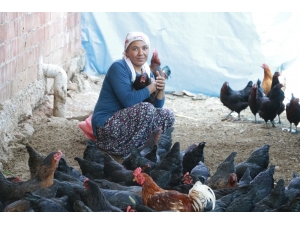 Geçinmek İçin Başladığı İşi Büyüten Kadının Hedefi Tavuk Çiftliği Sahibi Olmak