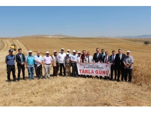 Altıntaş’ta "Reyis Ve Mesut" İsimli Yeni Buğday Çeşitleri Tanıtıldı