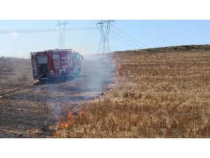 Tarlada Yakılan Anız 300 Dönümlük Alana Yayıldı