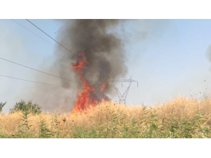 Manisa’da Ot Yangını Korkuttu