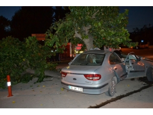 Balıkesir’de Otomobil Ağaca Çarptı: 1 Ölü