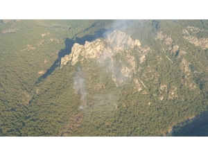 İzmir’de Orman Yangını