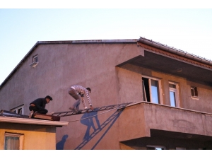 Mahsur Kalan Kedi İçin Canını Hiçe Saydı